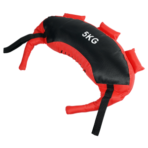 Buy FITSY Bulgarian Bags for Weight Training